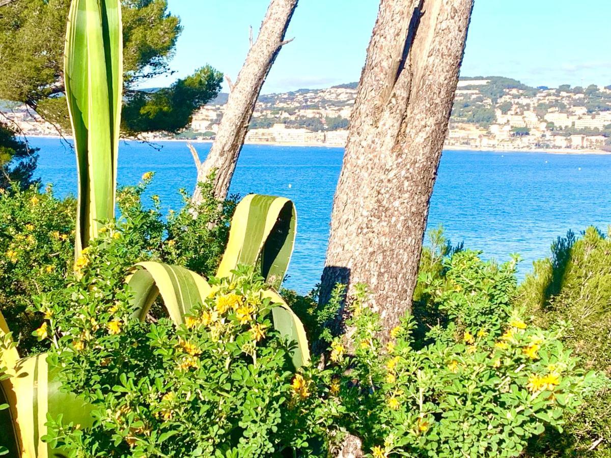 La Plage A 5 Minutes A Pied, Calme Et Verdure Sanary-sur-Mer Zewnętrze zdjęcie